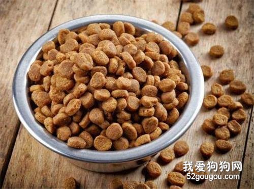 教大家如何挑选好的狗粮,最简单的4步,你都学会了吗?