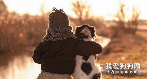 如何讓狗狗忠心？5大招數，早看早知道！