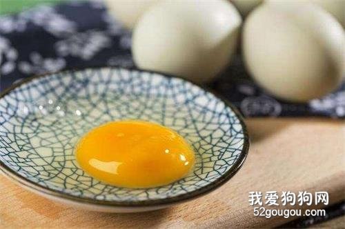 金毛绝对不能吃的5种食物,再饿也要忍住!