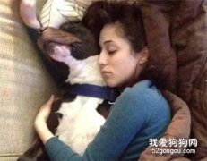 和狗狗睡覺需謹慎，有些事你要知道