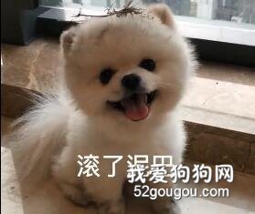 洗不洗澡的無所謂，最主要是喜歡滾泥巴~