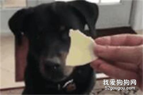 媽媽讓你多吃蔬菜的時候...... ????