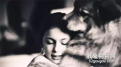 你愿意，養一只心里眼里都只有你的汪嗎？