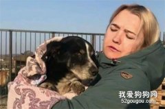 18歲愛犬過世，主人就埋葬了它，沒想到它竟復活爬出了墓穴...