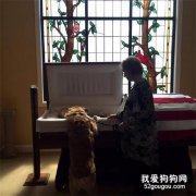 爺爺遺體告別儀式上，狗狗的這個舉動惹哭了在場的所有人...