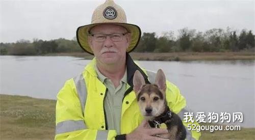 水泥底下傳來哀鳴，消防員救出瞬間對它墜入愛河！