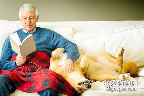 15個養狗后的不自覺改變，全中你就是專業狗奴！