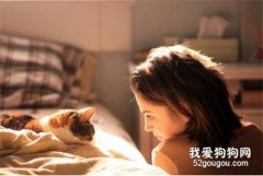 喜歡貓的人都是什么性格？