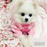市面疫苗種類那么多，我們該怎么選擇？