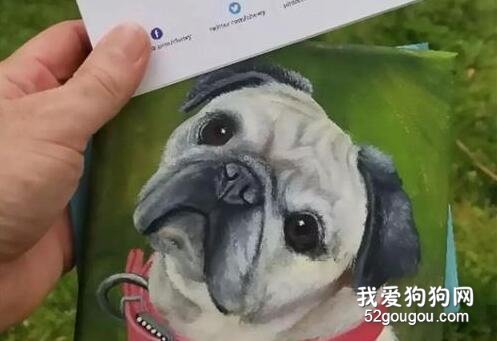 愛犬離世，鏟屎官將未拆封狗糧退回，結果收到了一份暖心大禮