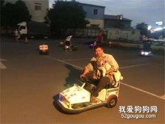 自嘲買不起車，農民工帶狗狗去玩碰碰車超開心，網友：幸福無價！
