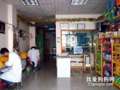 如何才能選擇一家好的寵物醫院？