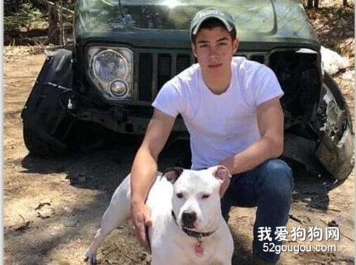 出門突發車禍，狗狗英勇救下主人，但其實...它一直在發抖！
