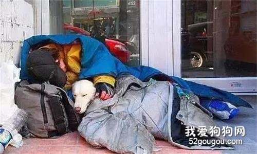 養狗如家人，這也是我們一次選擇親人的機會