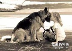 6種人不適合養狗狗，最后一個看了讓人直接崩潰！