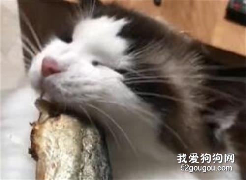 老鐵們都進來，給大家表演一個在線爆頭！