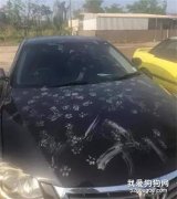 出門沒帶二哈，它把氣撒到車上...崩潰