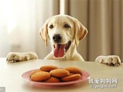 【美食攻略】自制狗狗黃金包