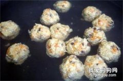 【寵物美食】自制狗狗營養小丸子