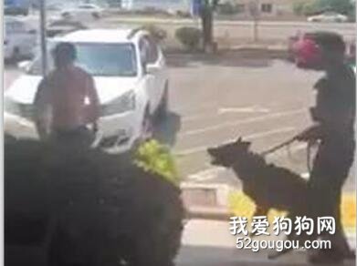 男子鬧事威脅要殺“警犬”，然后就被警犬一秒制服...