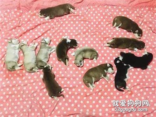這家注定是保不住了~