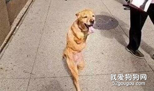 即使再困難，也要笑著面對生活...