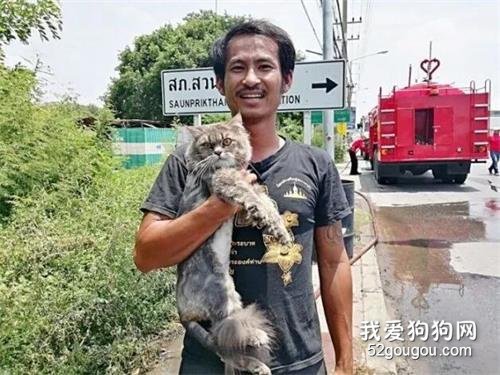 暖男抱貓逃離火海，縱使財物盡失，他一句話把大家感動哭！