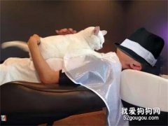 店主說，自從多了這項服務后，店里的生意越來越好...