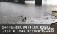 20歲大學生為救愛狗，自己溺亡，這樣做值得嗎？