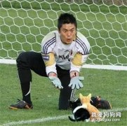 網友把足球p成貓之后，哈哈哈，第一張就笑瘋了...