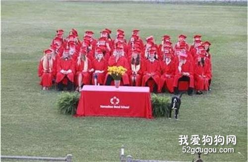 這狗竟然跑到主人的畢業典禮上，對著花盆“解放”……