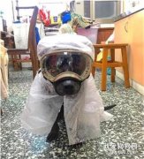 狗狗出門必備“核生化武器作戰裝備”，其背后故事令人心酸……