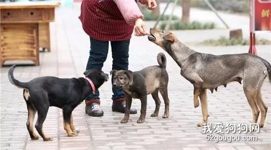 變賣房產、拿出畢生積蓄，甚至眾叛親離，她們為什么這么拼？