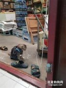貓的耳朵上突然掛了一根繩子，它以為被綁住了，一動不敢動！