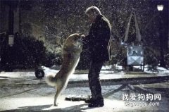 訓狗小貼士，搞定狗狗的愛撲人，愛咬亂吃壞毛病！