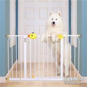 應不應該把狗關籠子里？