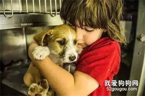 孩子，你為什么把小奶狗扔進還在燃燒的焚燒桶...
