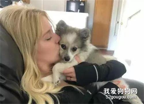 渣男跟她分手后，居然偷偷將狗給賣了