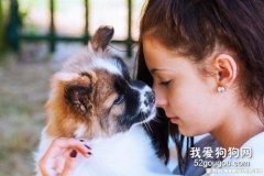 養狗之后有哪些變化 養狗會讓你更加熱愛生活