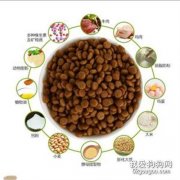 怎么判斷狗糧的好壞 四招教你輕松分辨