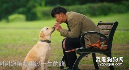 論寫情書，你可能還沒有這只狗寫的好！