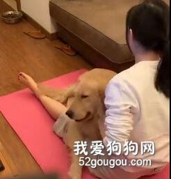 狗子，就是減肥路上的絆腳石！