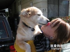 狗喜歡舔人怎么阻止?