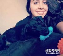 搬新家狗狗分離焦慮哀嚎擾民，這時鄰居的一封信，讓主人看哭了...