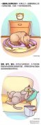 家里寵物生病的14種癥狀！（內附生動圖片）