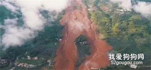 六盤水山體滑坡10余人死亡，20余搜救犬奔赴前線：它們仍在努力…