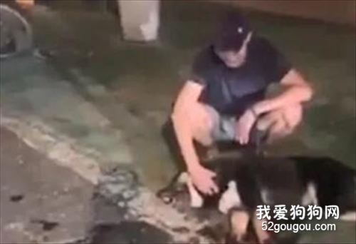 男子用車將狗狗拖死后，還一臉假惺惺的撫摸它