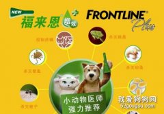 福來恩滴劑使用方法及用量
