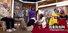 49歲女子要嫁給6歲愛犬，還直播了婚禮現場：嫁給它是最好的決定！