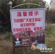 男子不服違規養狗被罰3000元，于是將狗狗做成了火鍋